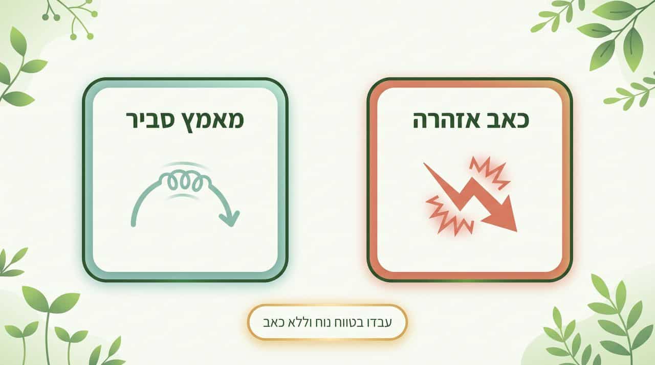 שרירים התומכים בברך - ארבע ראשי, ישבן, ירך אחורית ושוק