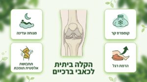 תמונה ראשית