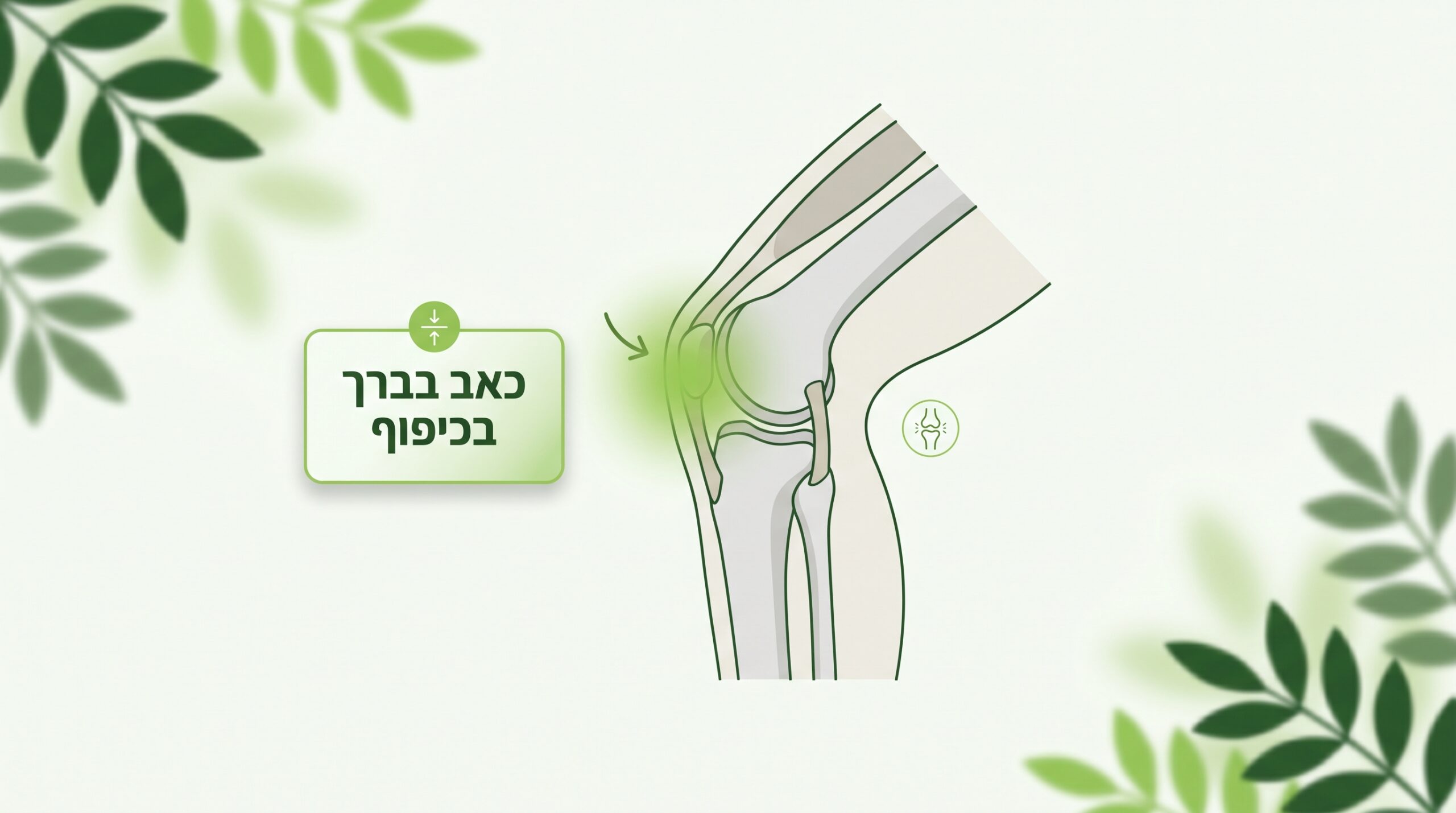 כאב בברך בכיפוף - הסבר על עומס המפרק