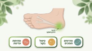 תמונה ראשית