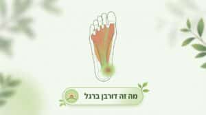 תמונה ראשית