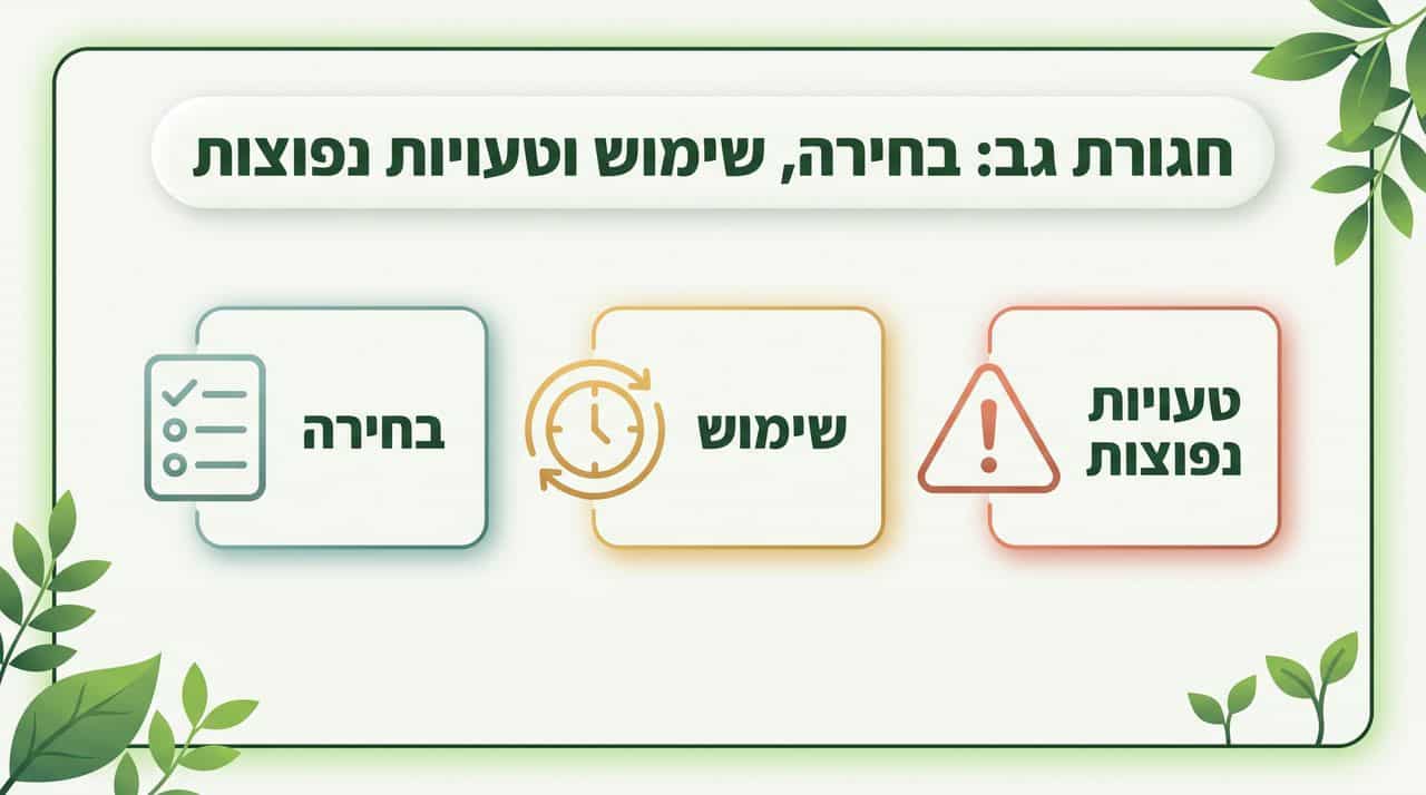 תמונה ראשית