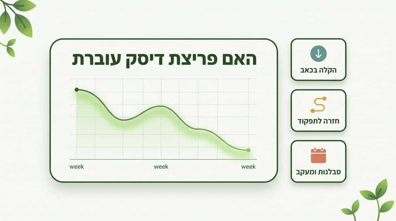 תמונה ראשית