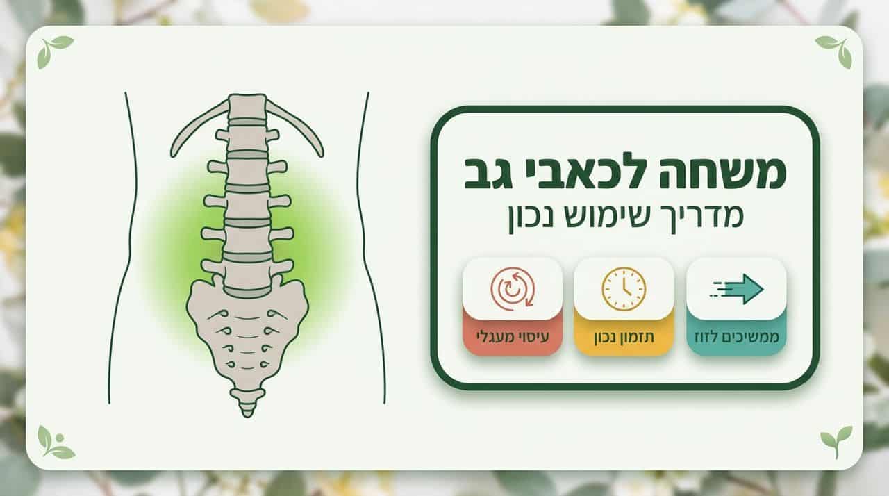 תמונה ראשית