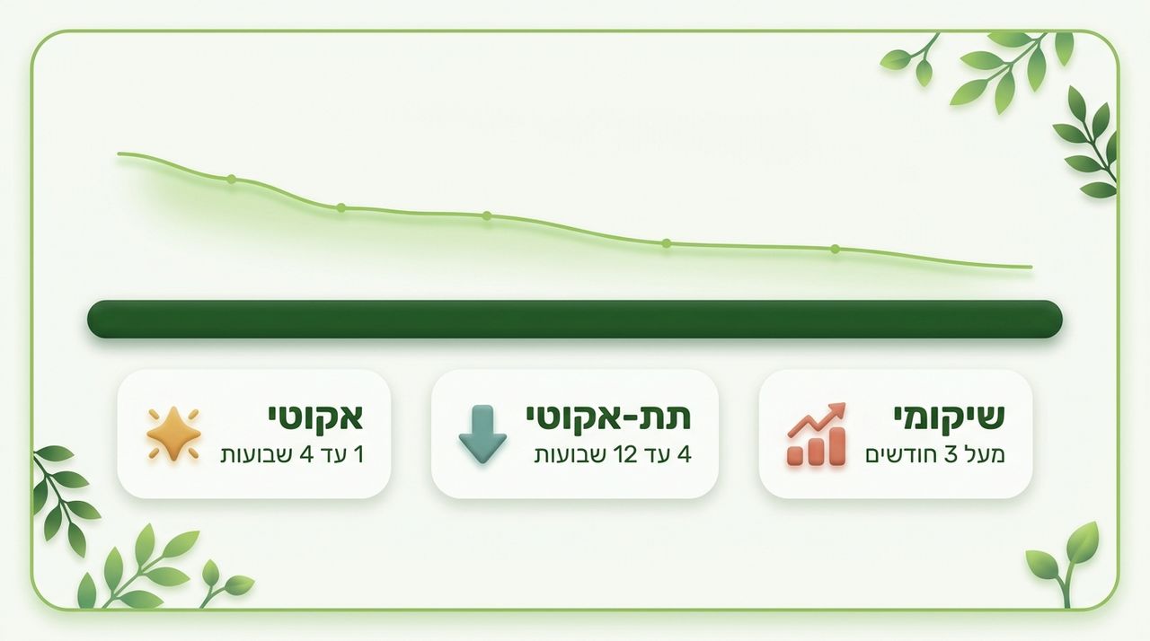 איך נראה ציר הזמן של החלמה מפריצת דיסק?