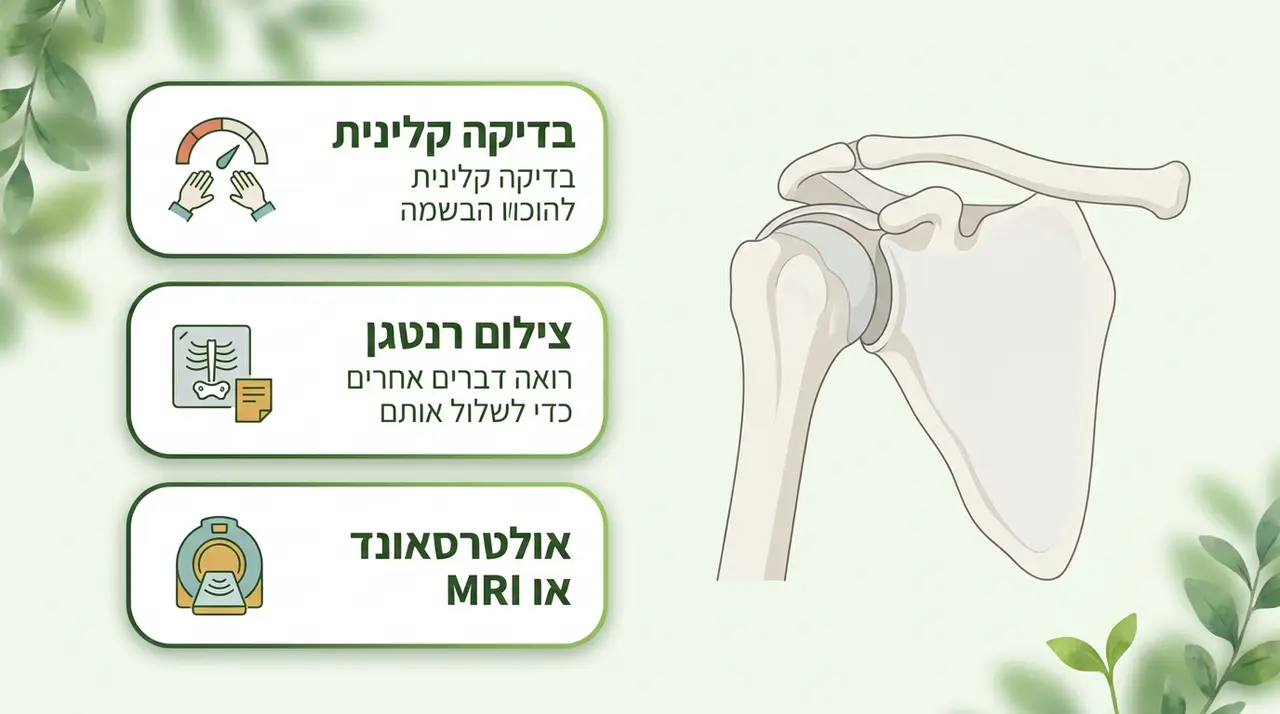 איך מאבחנים כתף קפואה ואילו בדיקות באמת צריך?