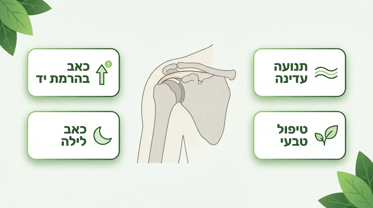 תמונה ראשית