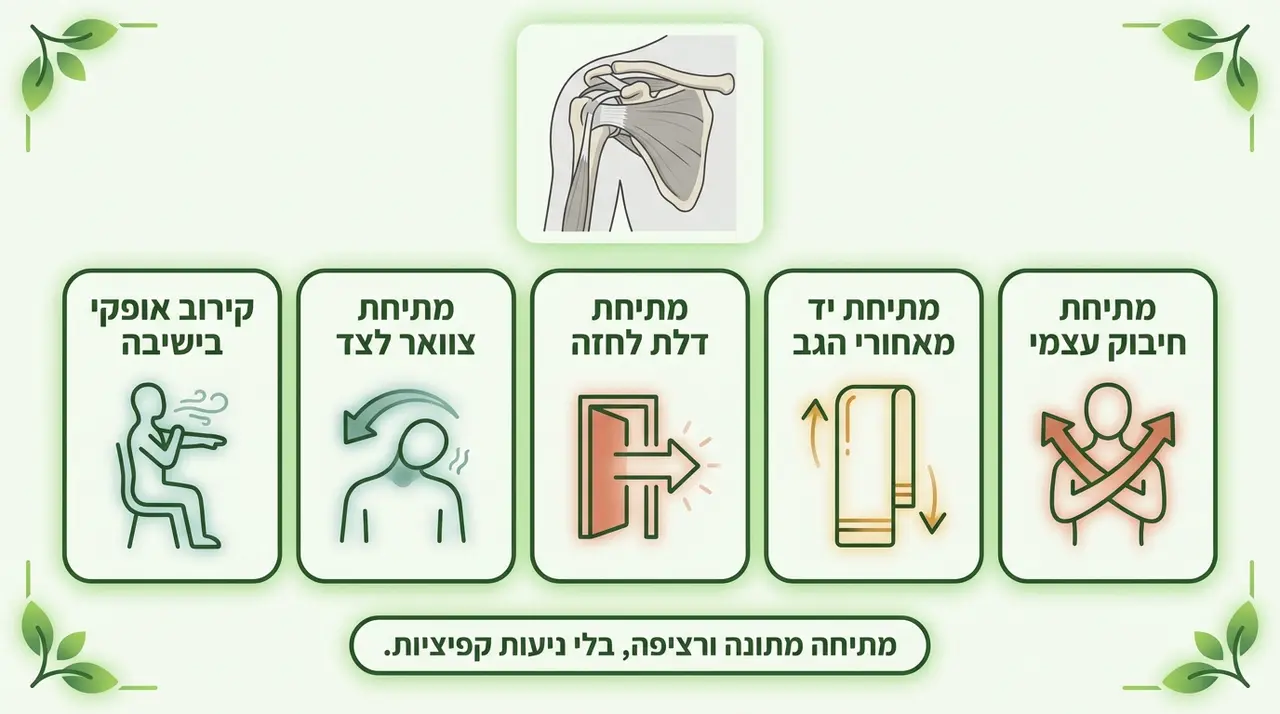 מהן המתיחות הכי יעילות לכתף תפוסה?