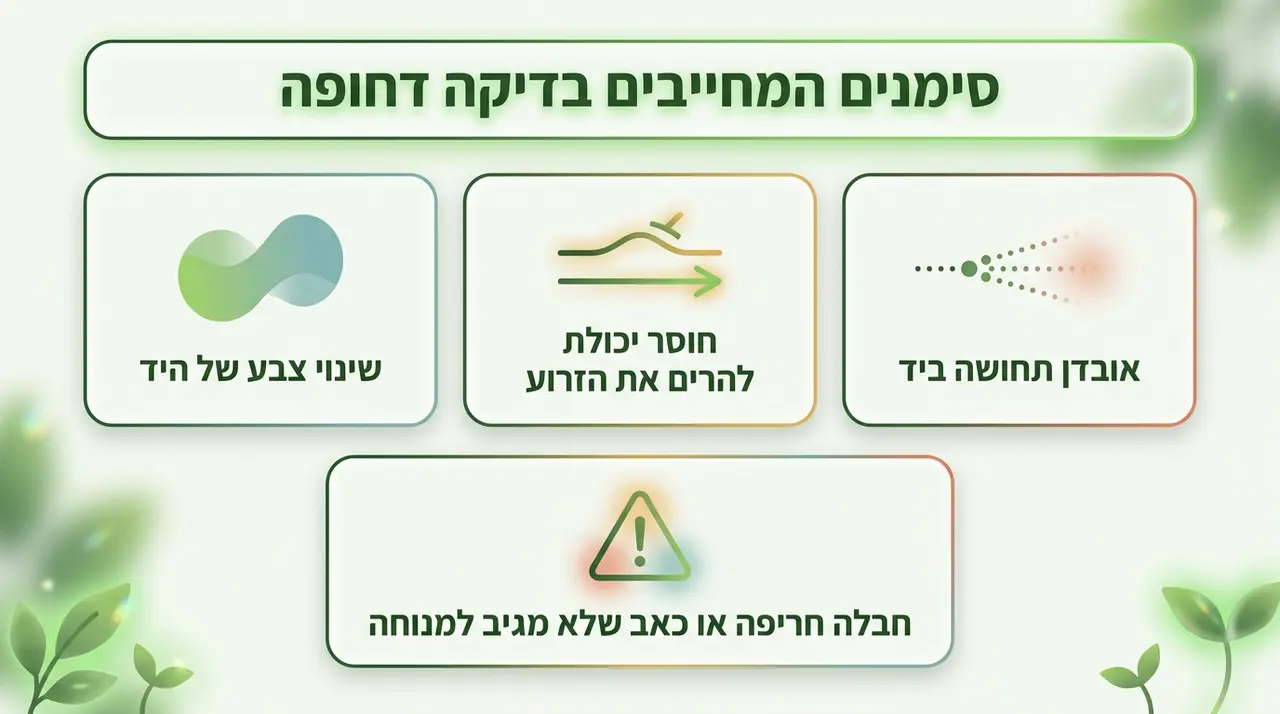 מתי מגן כתף לא מספיק וחייבים להיבדק אצל רופא?